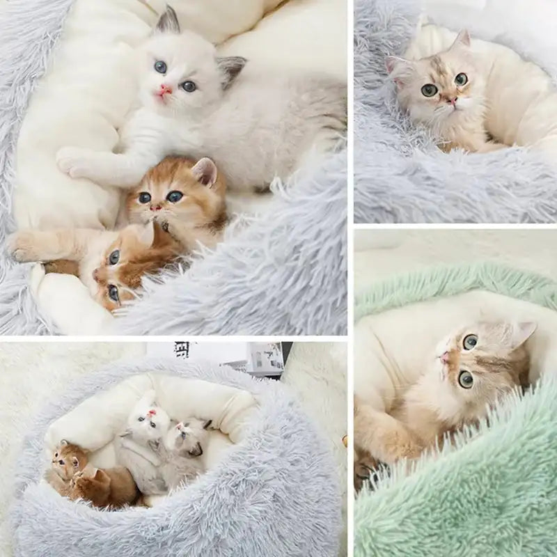 Cat Dog Basket Bed