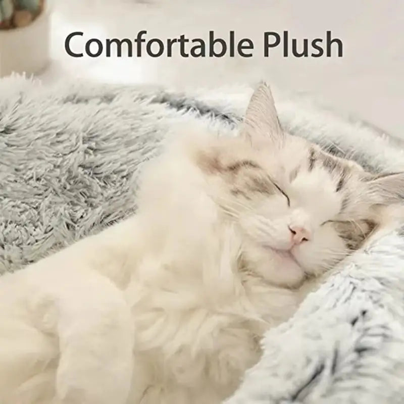 Cat Dog Basket Bed