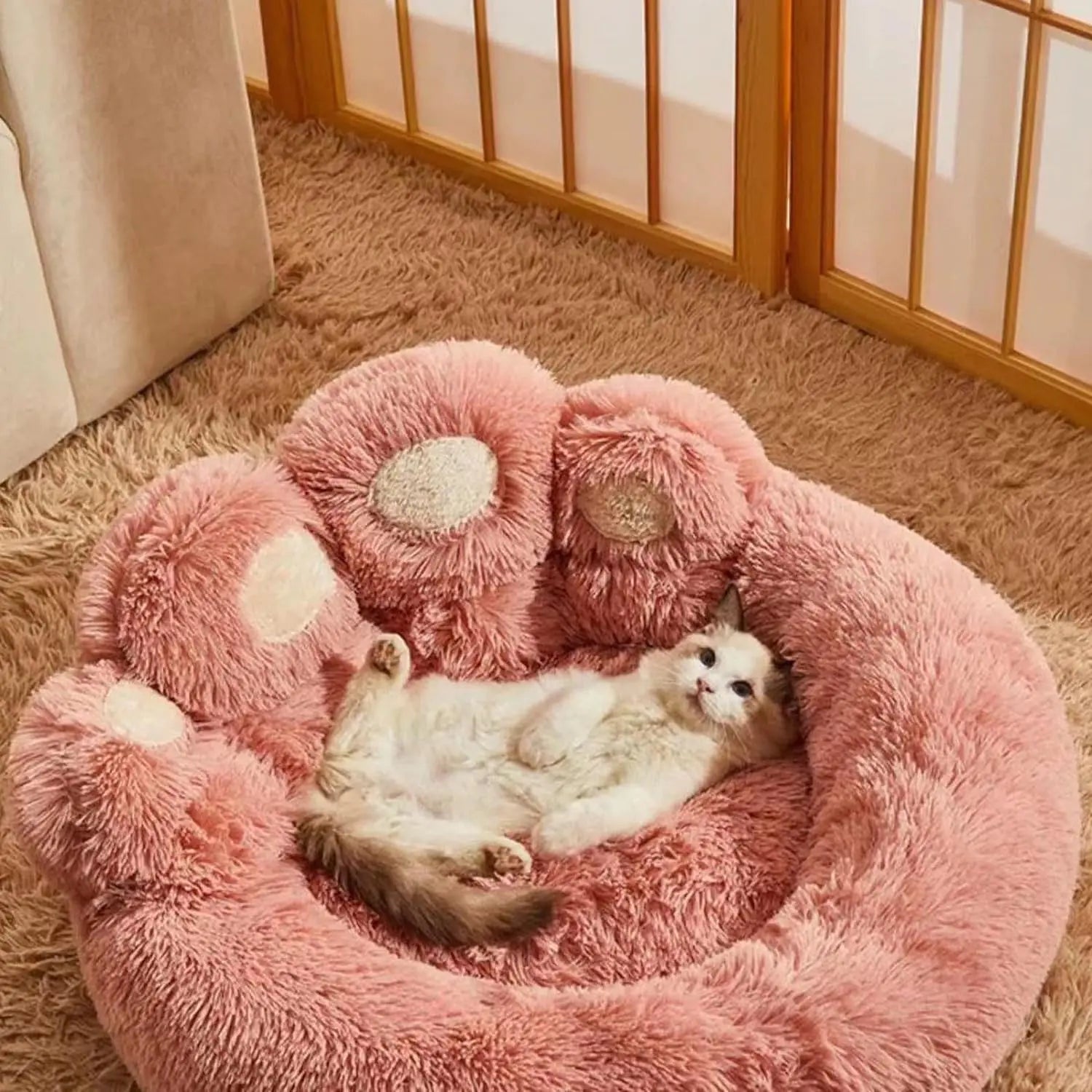 Pet Beds