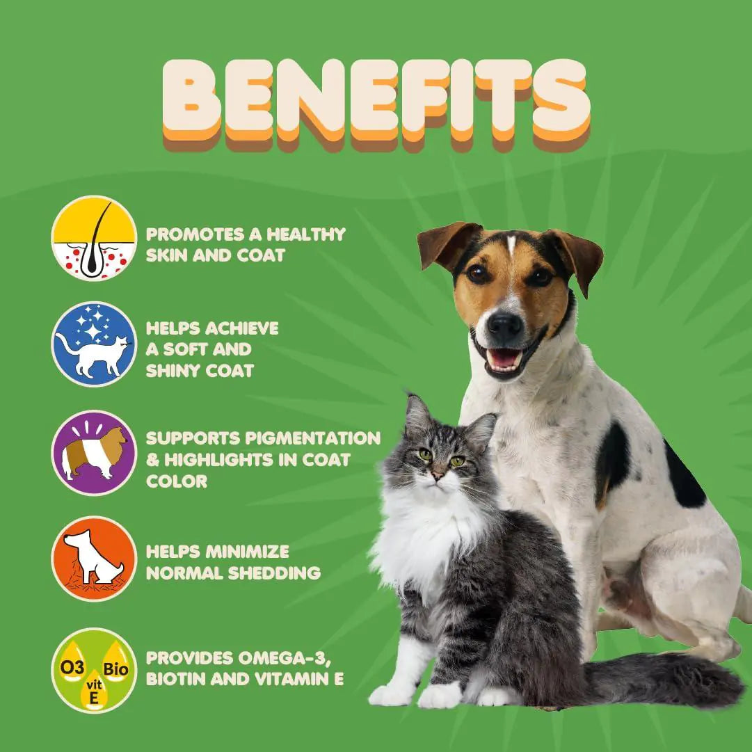 Skin and Coat Pets Oil
