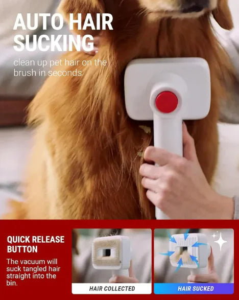 Pet Hair Vacuum Grooming Kit